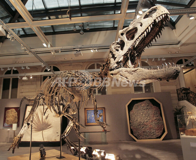 恐竜や大型肉食獣の化石、サザビーズが5日競売へ