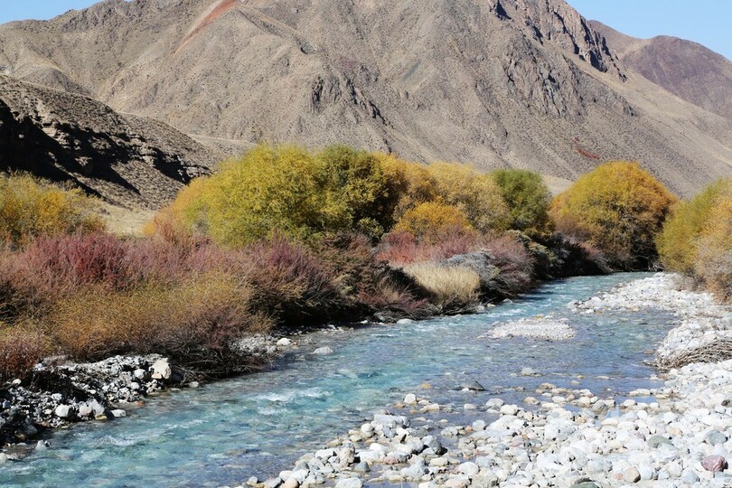 おとぎ話の世界のような祁連山高原の秋景色 写真6枚 国際ニュース Afpbb News