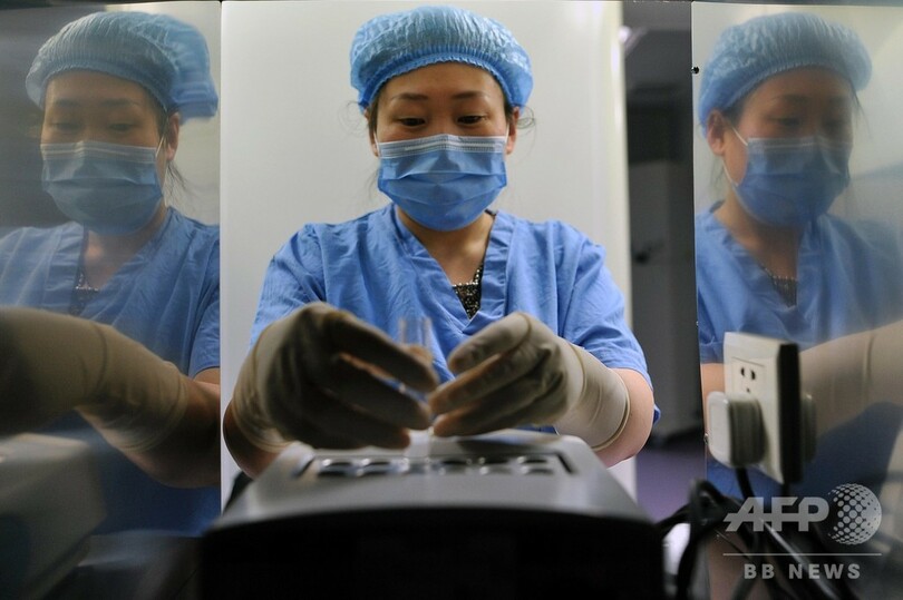 中国の未婚女性も気になる、卵子の凍結 国外での方法を模索