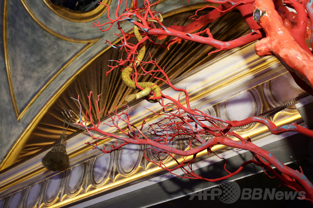 「ミュウミュウ」最新ショートフィルム上映イベントに豪華顔ぶれ