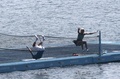 メキシコ・ゲレロ（Guerrero）州のアカプルコ（Acapulco）で、エキシビションマッチの最中に、サンタルシア湾（Santa Lucia Bay）に浮かべたコートから海に飛び込む、カナダの女子選手、ユージェニー・ブシャール（右、Eugenie Bouchard）と、ブルガリアの男子選手、グリゴール・ディミトロフ（Grigor Dimitrov、2014年2月24日撮影）。(c)AFP/Pedro PARDO