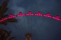 米ネバダ（Nevada）州ラスベガス（Las Vegas）にオープンした高さ世界一の観覧車「ハイローラー（High Roller）」（2014年4月11日撮影）。(c)AFP/JOE KLAMAR