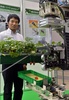 農家の人たちが眠っている間に熟したイチゴを収穫してくれるロボットが25日、都内で開催された自動認識総合展（AutoID and Communication Expo）で公開された。開発者によると、農家の作業量は3分の2に軽減されるという。

機械メーカーのシブヤ精機（Shibuya Seiki）と食料や農業、農村に関連した研究活動を行う農研機構（National Agriculture and Food Research Organisation）が出展した全長2メートルのロボットは、畝の間に敷いたレール上を移動しながら作業し、8秒に1個のイチゴを摘み取ることができる。

また、収穫に適しているイチゴを選ぶためのカメラが3台装備されており、イチゴの状態を確認した上でアームを出して摘み、かごに入れていく（2013年9月25日撮影）。(c)AFP/Yoshikazu TSUNO