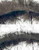 ネパール地震により岩の落下で壊滅したトレッキングルート沿いにある観光地の村ランタン周辺の地震前（上、2015年4月11日撮影）と地震後（下、同4月30日撮影）を米航空宇宙局（NASA）の地球観測衛星ランドサット8号で捉えた衛星写真（ランタンは各写真中央）。(c)AFP/NASA