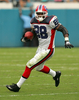 タッチダウンを奪うビルズのアンソニー・トーマス（%%Anthony Thomas%%）。(c)AFP/Getty Images Sam Greenwood