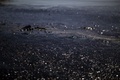 (c)AFP/Angelos Tzortzinis