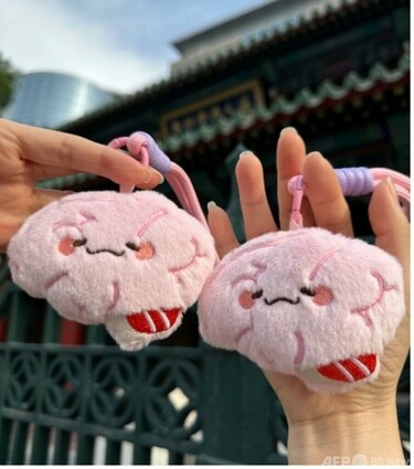 医学モチーフの「器官ぬいぐるみ」 中国の若者に人気拡大 写真1枚 国際