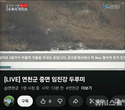 誰が見るのか？視聴者ゼロの「24時間ツル中継」…韓国の自然愛、届かぬネットの海