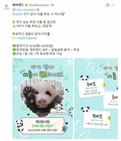 韓国エバーランド 赤ちゃんパンダの名前を5候補から選ぶ一般投票を開始