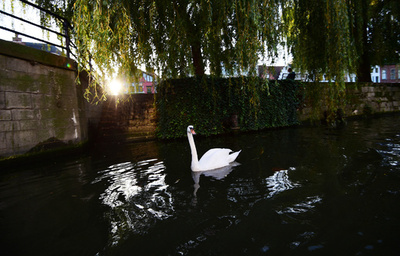 運河に浮かぶ冷蔵庫から遺体の一部発見 ベルギー東部
