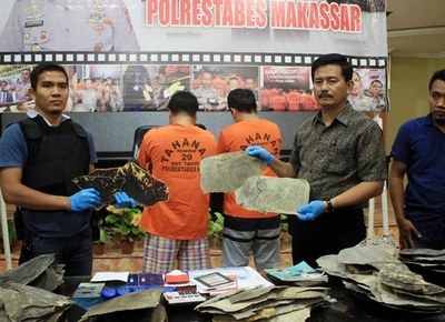 ウミガメのべっ甲200キロを密輸、中国人2人を逮捕 インドネシア