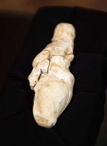 2万3000年前の石灰石製「女神」像、フランスで出土