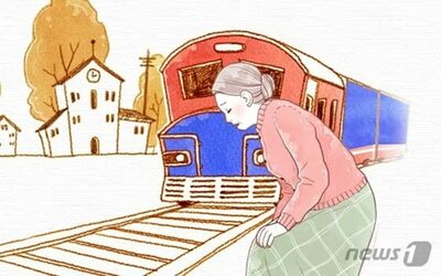 枯れかけていた植木鉢を持ち帰った73歳女性に無罪、判断は「店が放置」…韓国・検察は控訴