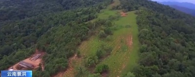 ゾウの専用「食堂」がオープン 中国・雲南省