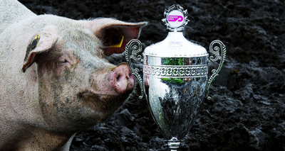 「2010年ベスト・オブ・泥沼」はオランダ南部の養豚場