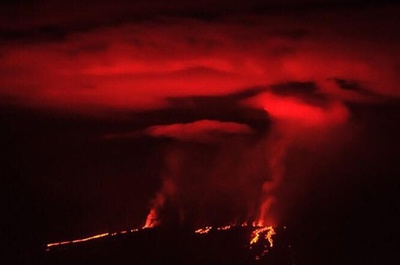 ガラパゴス諸島の噴火が収束へ、希少動物への影響免れる