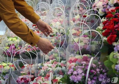「家族の月」に異変？ カーネーションが菊に敗北…韓国の花市場に異常事態
