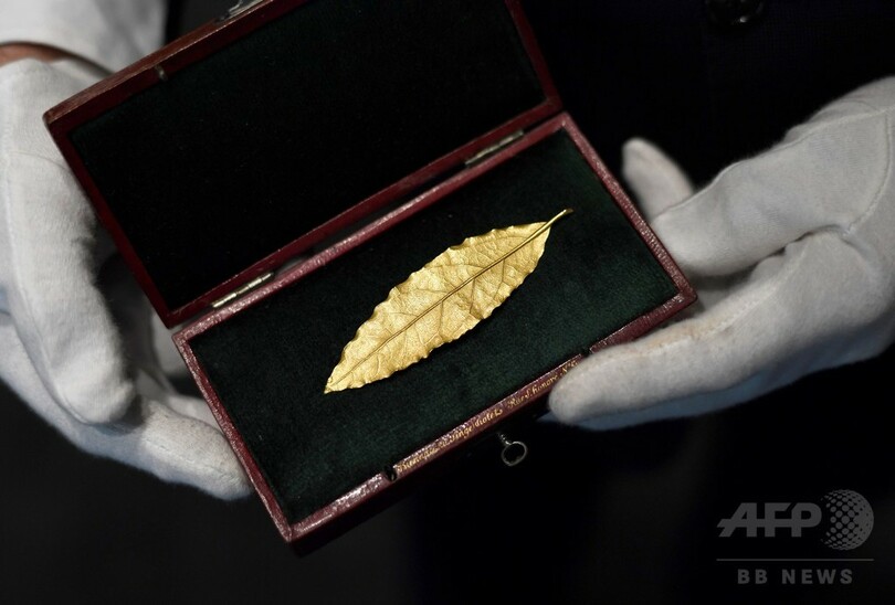 ナポレオンの冠から除かれた金細工の葉 8000万円超で落札 仏 写真10枚 国際ニュース Afpbb News