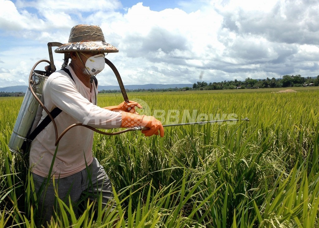 妊娠時の殺虫剤暴露量と子どものIQに関連性、米研究 妊娠時の殺虫剤暴露量と子どものIQに関連性、米研究