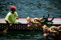 香港（Hong Kong）で行われた毎年恒例「ドラゴンボート（龍舟）フェスティバル（Dragon Boat Festival）」で、龍の頭の横をボートで通り過ぎる男性（2014年6月2日撮影）。(c)AFP/Philippe Lopez