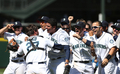 12MLB、シアトル・マリナーズ（Seattle Mariners）対タンパベイ・レイズ（Tampa Bay Rays）。完全試合を達成し、チームメイトに祝福されるシアトル・マリナーズのフェリックス・ヘルナンデス（Felix Hernandez、2012年8月15日撮影）。(c)AFP/Getty Images/Otto Greule Jr