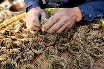 欧米諸国向けに輸出する手作りの「鳥の巣」 江蘇・海安