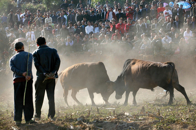 中国の少数民族ミャオ族の祭り