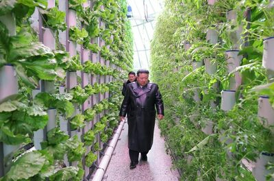 北朝鮮・金正恩総書記が「訪問6回」…中朝国境に建てた「最大規模の温室農場」の正体