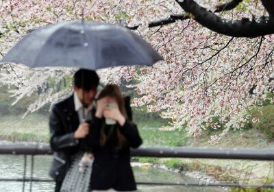 韓国の50代、10人に1人が一度も結婚せず…10年で3倍超に増加