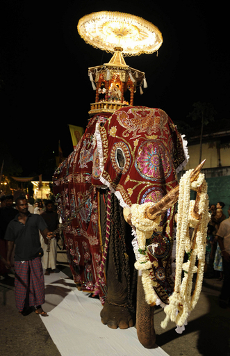 スリランカ最大の仏教祭典「ナワン・ペラヘラ」、ゾウも集結