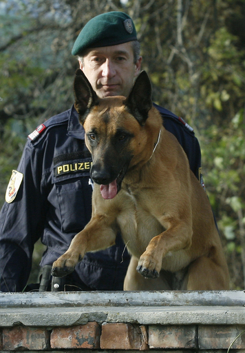 ノルウェーで警察犬に｢指名手配｣