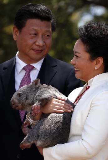 「中国は武力で目的達成しない」、習主席が言明