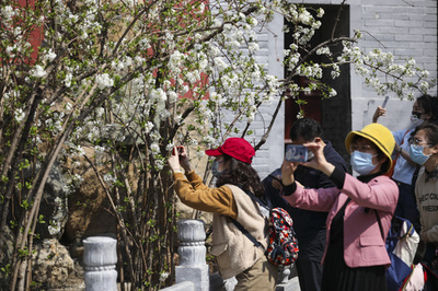 中国・清明節連休で7541万人が旅行 観光収入は3729億円