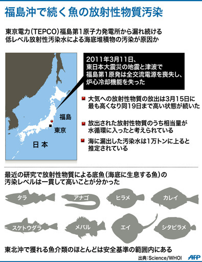 福島沖の魚介類、放射性レベル下がらず 国際調査