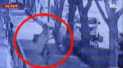 韓国・連休中の真夜中、なぜか宅配箱を置き去り…中には白内障患った犬