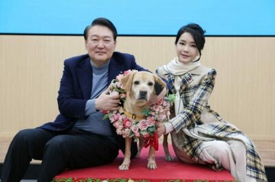 韓国大統領夫妻は「ペット11匹の親」 [KWレポート] 犬肉は過ぎ行く (3)