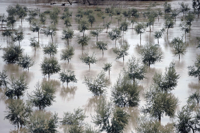 スペイン南西部、豪雨・豪雪で農場や道路が冠水