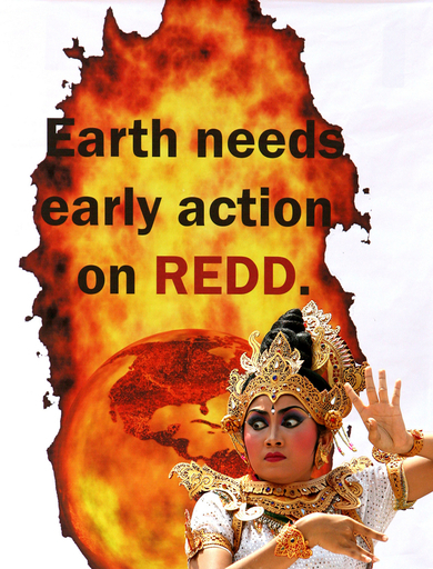 バリ会議、｢日本とカナダが進展の障害｣と環境団体が警告