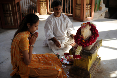 ウシ排泄物で薬も開発、応用製品研究が活発 インド