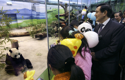 台湾で中国寄贈のパンダお披露目、馬総統も式典出席