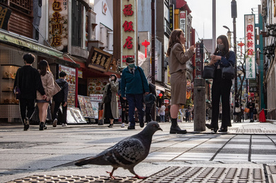 Police arrest Japan taxi driver after running over pigeon
