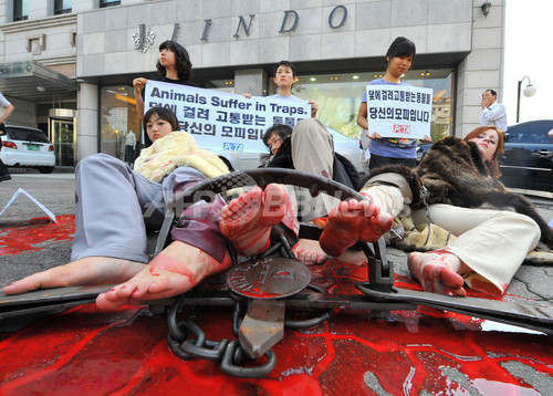 罠は残酷 ソウルで愛護団体が毛皮反対デモ 写真3枚 ファッション ニュースならmode Press Powered By Afpbb News