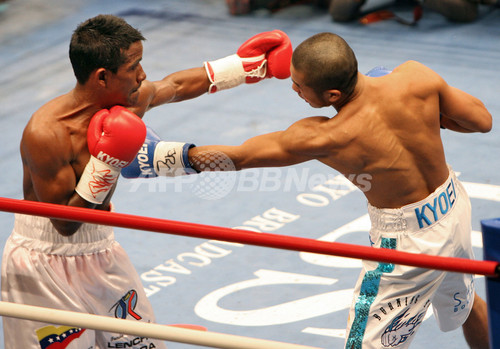 ボクシング 坂田 Tko勝ちで悲願の王座獲得 東京 写真6枚 ファッション ニュースならmode Press Powered By Afpbb News