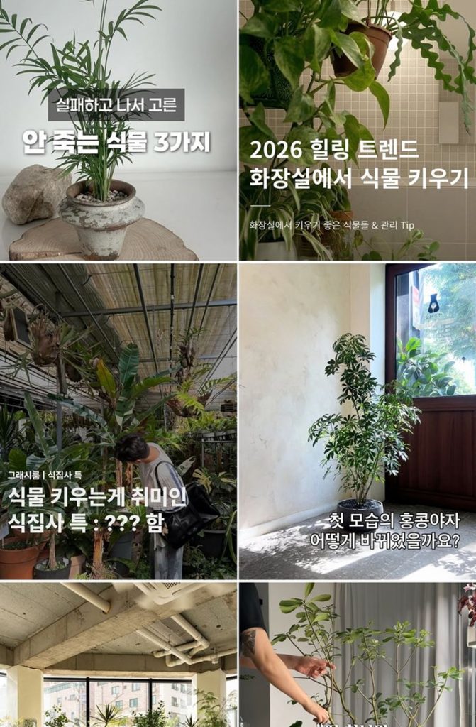 小さなガラス容器の中にコケや植物を配置したミニテラリウム(c)NEWSIS