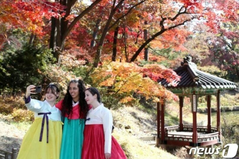 11月6日午後、ソウル・昌徳宮で紅葉を楽しむ外国人観光客(c)news1