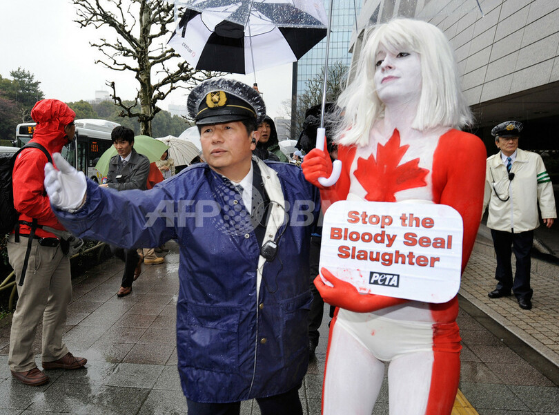 カナダ国旗のボディーペイントでアザラシ猟に抗議、PETA
