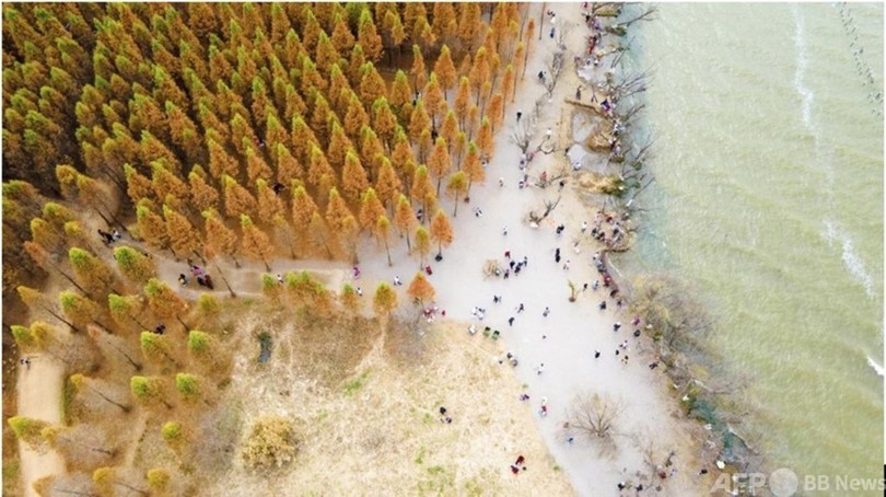 中国・昆明で10月にCOP15開催 国際社会と共に生物多様性を保護