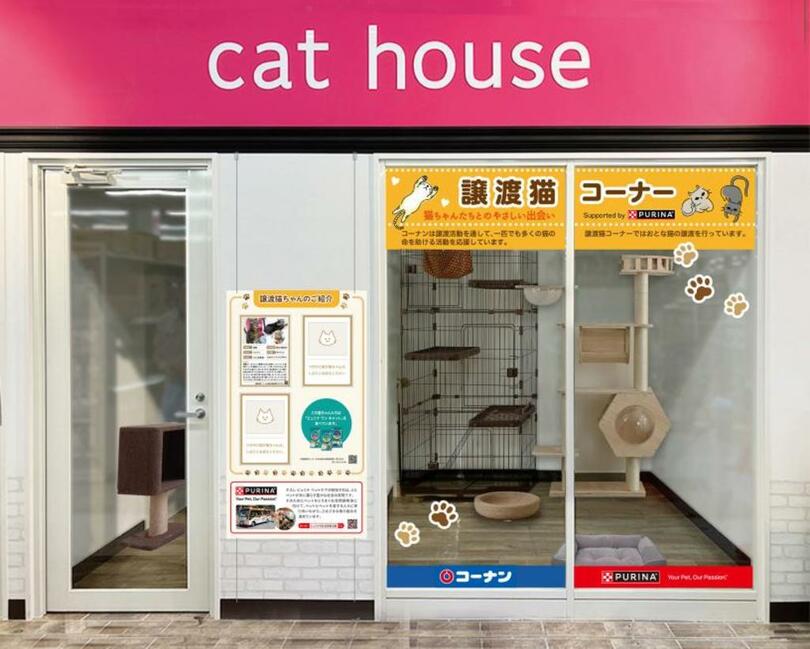 「おとな猫」専用の譲渡スペース2ケ所目を2025年7月1日（火）からコーナン東大阪菱江店に展開