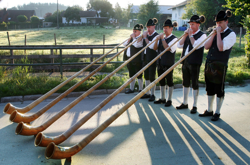 ドイツで250人のアルペンホルンの演奏 写真11枚 国際ニュース：AFPBB News