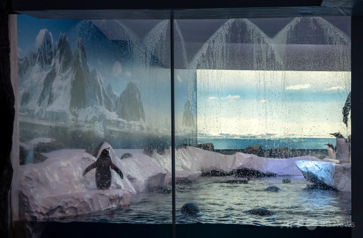 img_f7753ecbb23e6f9bc79f8ebf07